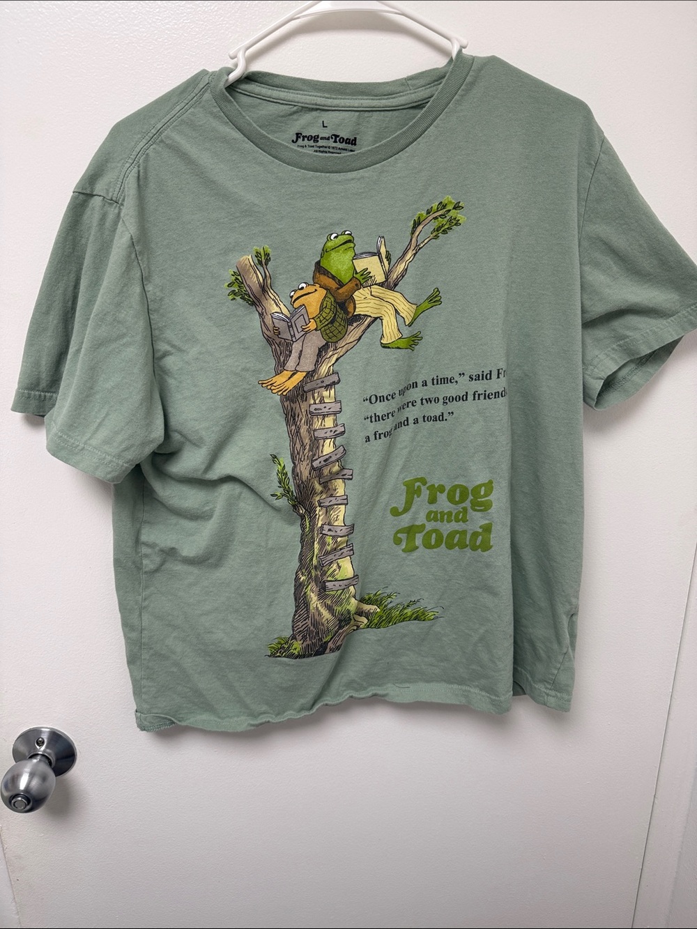 Frog and Toad Graphic Short Sleeve Tee - Sage Green